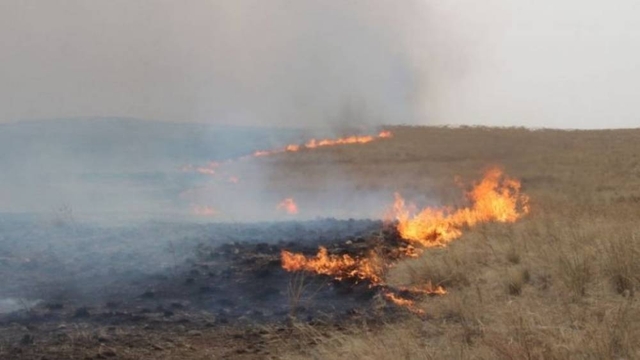 Сүхбаатар аймгийн Эрдэнэцагаан суманд түймэр гарчээ