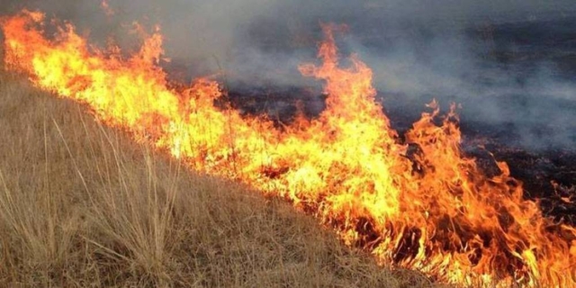 Шар өвс, хог хаягдлыг шатаахгүй байхыг анхааруулж байна